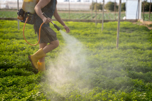 Best Local Pest Control Services  in , AL