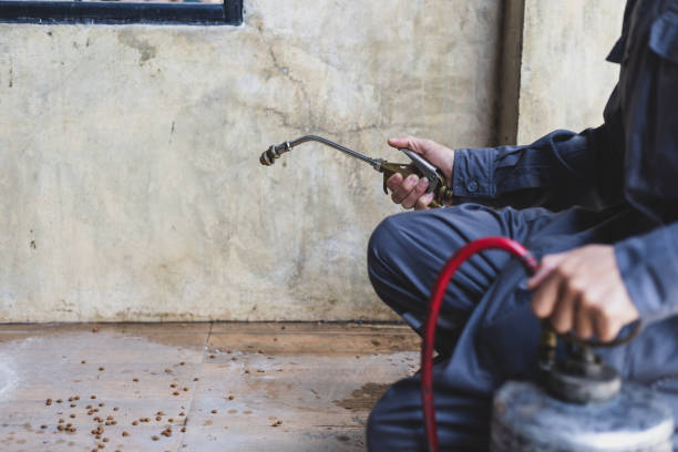Best Affordable Pest Control Services  in , AL
