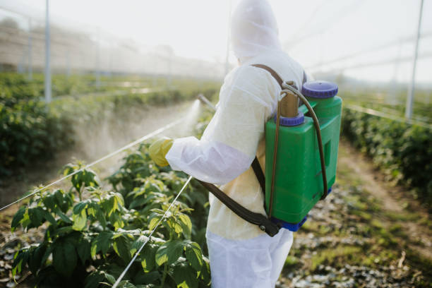 Best Emergency Pest Control  in , AL